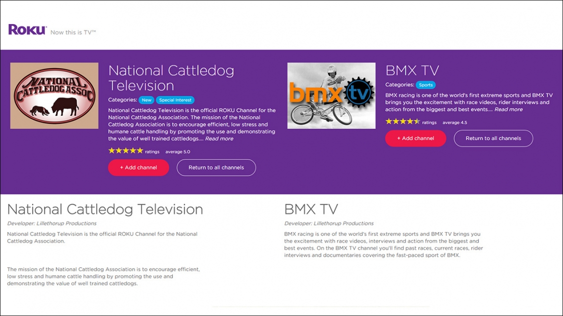 Roku Channel Development